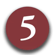 us-immigration-fund-visa-eb-5-advantages-icon-number-5